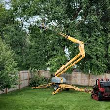 Best Utility Line Clearance  in St Peter, MN